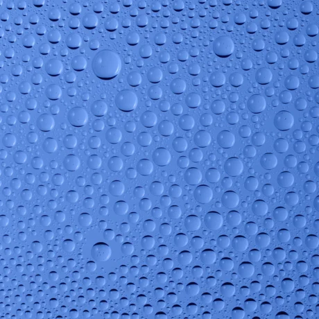 610006D_5_d7ee41ec-1279-4e67-80a6-5c4288f191df