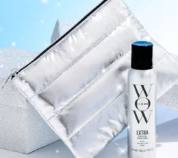 Extra Mist-ical Shine Spray + FREE Silver Puffer Bag