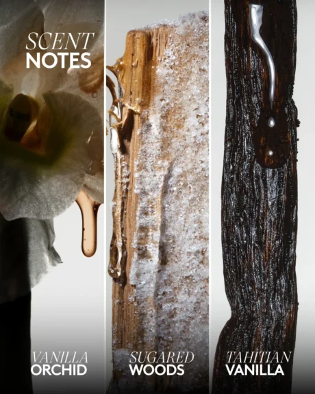 FS967250_GLOBAL_FSB_LAUNCH_PDPASSETS_SCENTNOTE_VANILLAFLOWERS_1200X1500_8ca4ffe1-b0ce-47b9-b159-d2f02df31010