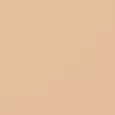 BD21 (Light-medium shade, golden undertone )