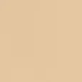 BD21 - Light-medium shade, golden undertone